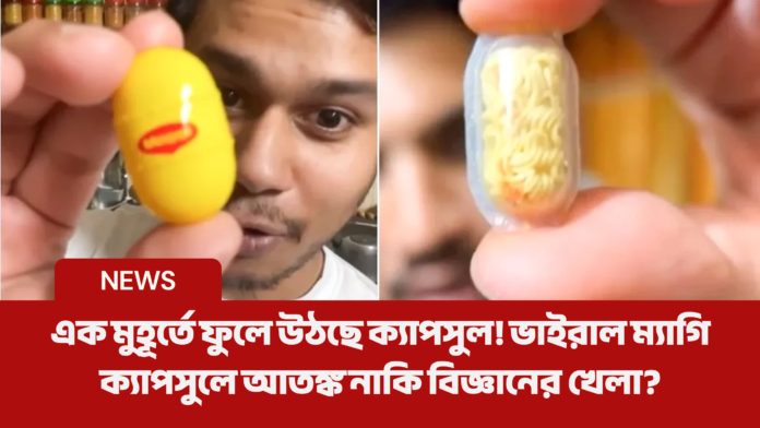 maggi capsule